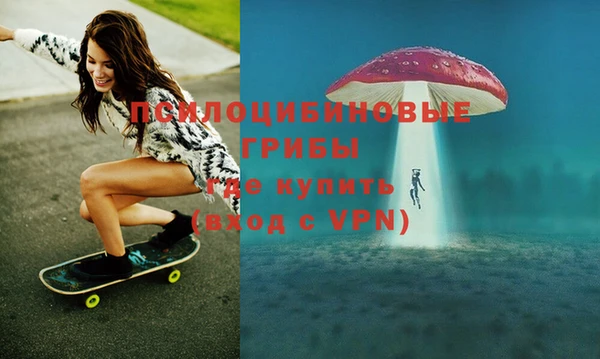 бошки Абинск