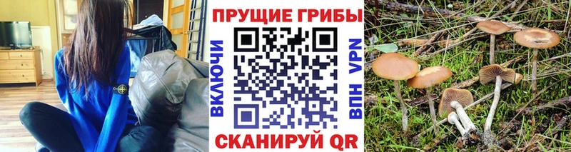 даркнет сайт  Агидель  Галлюциногенные грибы MAGIC MUSHROOMS 